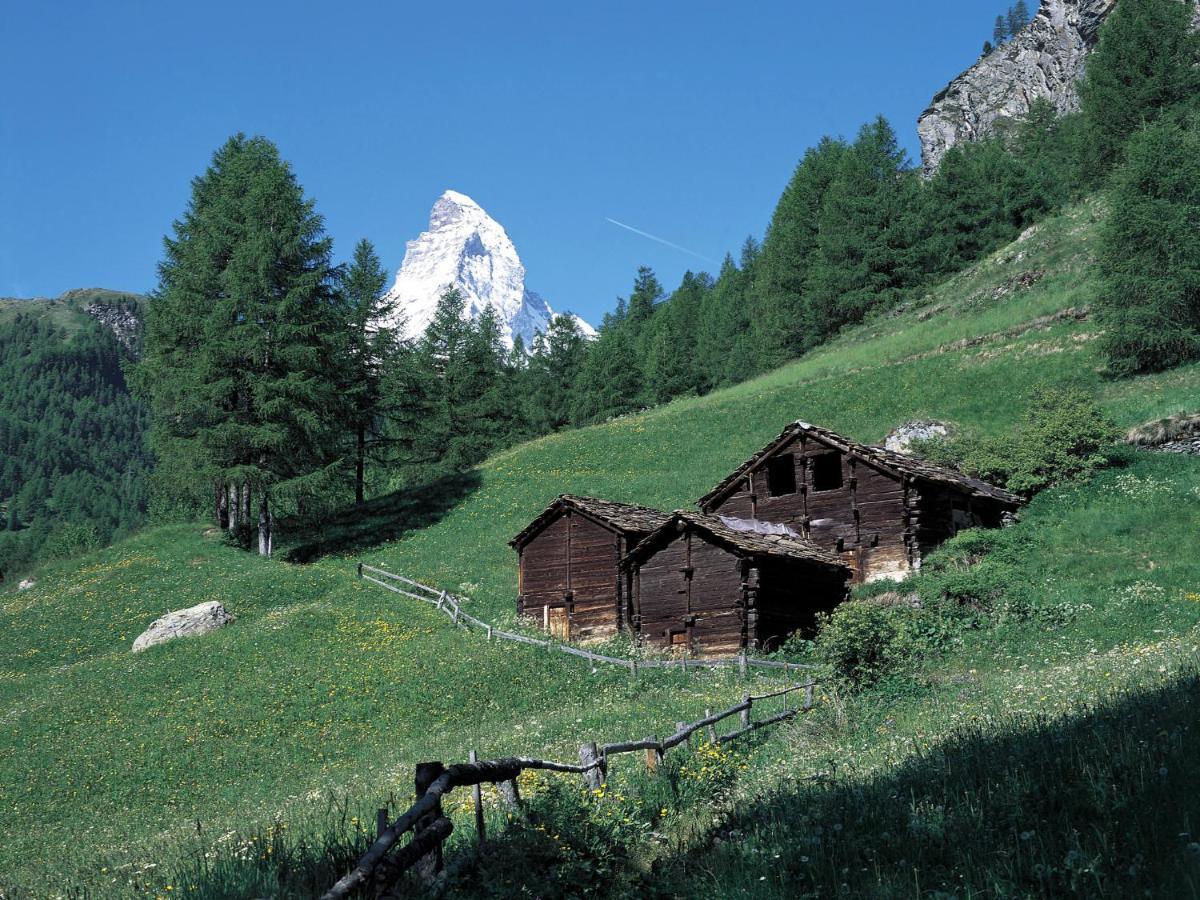 Apartment Oasis By Interhome Zermatt Exterior photo